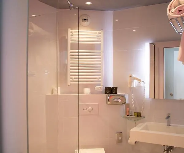 Colmar Hotel Отель 3*