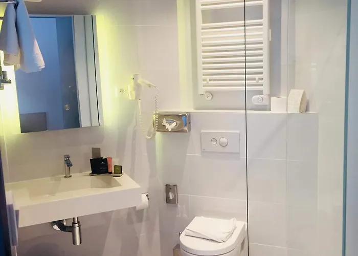 Colmar Hotel Отель 3*